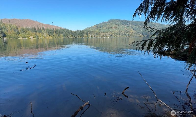 2nd image of 0 Mineral Creek Road N
