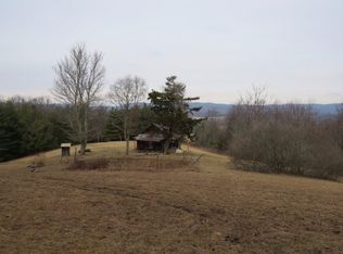 85-5 Guava Ln, Ivanhoe, VA 24350