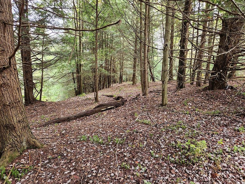 9 Schrader Creek Rd, Shunk, PA 17768 Zillow