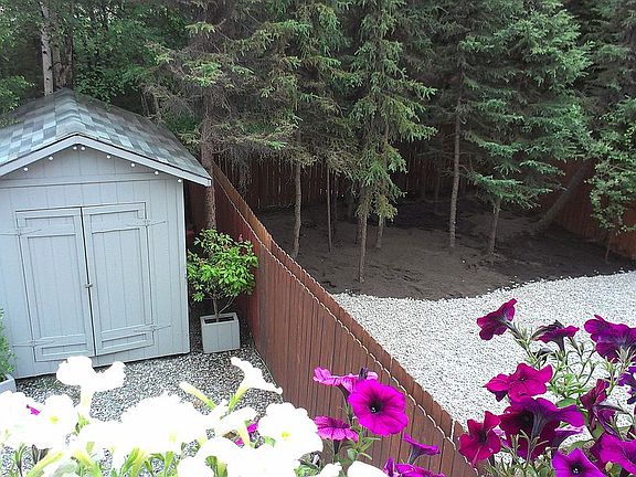 back yard B