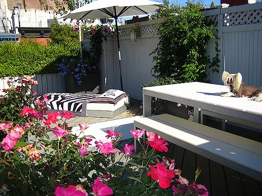 Sold by Stribling | media 4