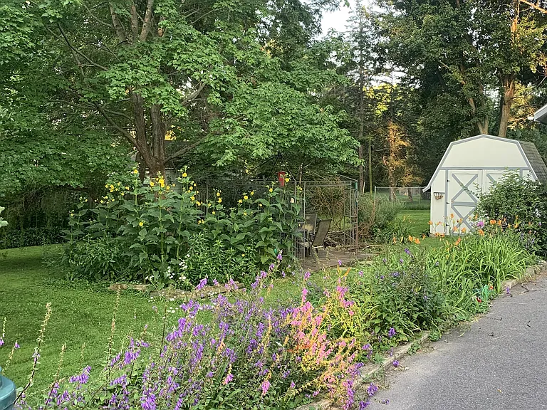 342 Elm St — Photo 30