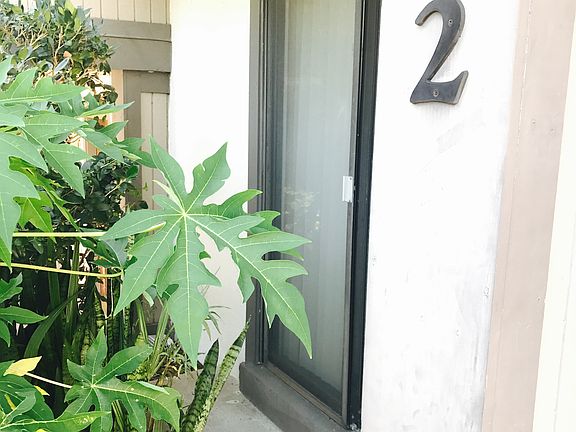 3rd image of 182 Maitland Ave #182