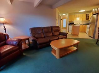 7223 Ryan Gulch Rd, Silverthorne, CO 80498