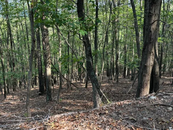 699 Chickloon Ln, Great Cacapon, WV 25422