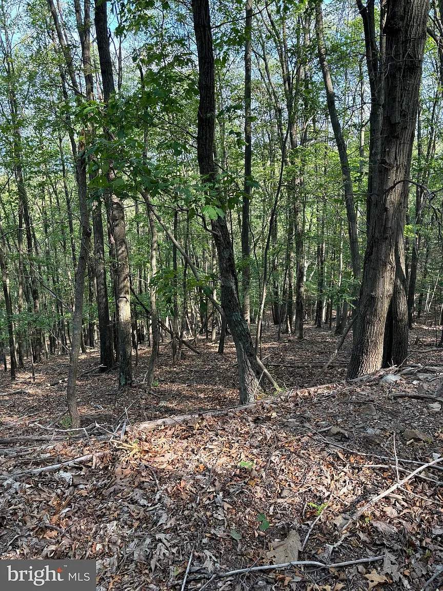 699 Chickloon Ln photo 1