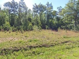 0 Newt Hodges Rd, Ragley, LA 70657