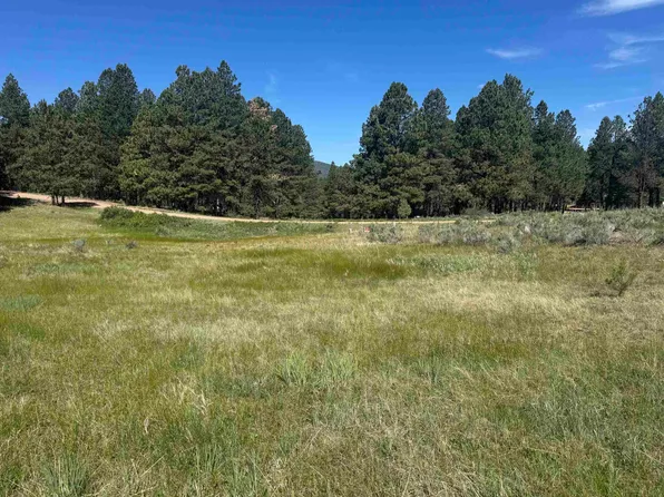 Lot 8 Blk D Jackson Hole, Angel Fire, NM 87710