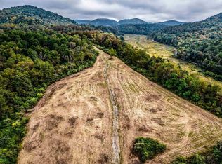 Tbd Brushy Fork Rd, Bridgeport, WV 26330