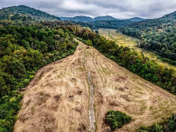 Tbd Brushy Fork Rd, Bridgeport, WV 26330