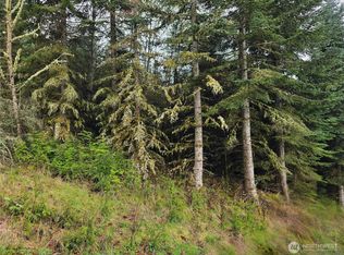 0 Birley Rd, Mossyrock, WA 98564