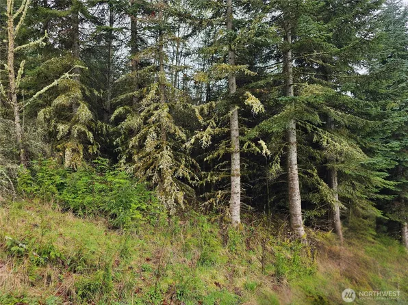 0 Birley Rd, Mossyrock, WA 98564