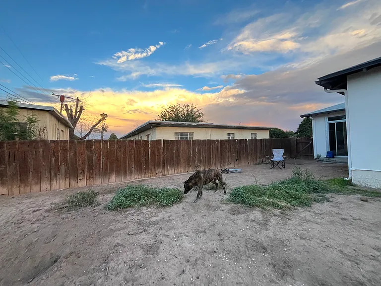 Massive fenced in backyard, perfect for dogs.