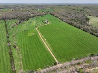 13336 Mount Olive Rd, De Soto, MO 63020