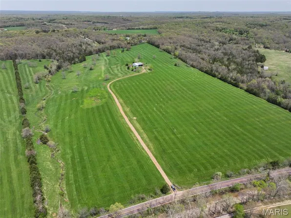 13336 Mount Olive Rd, De Soto, MO 63020