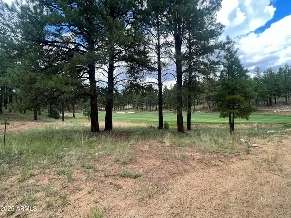 3646 S WOODLAND HILLS Drive #377, Flagstaff, AZ 86005