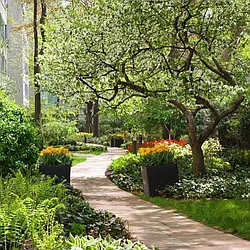 Rented by R New York