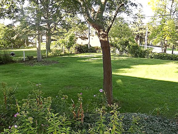 Fenced-in Backyard