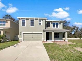 10019 Warm Stone St, Thonotosassa, FL 33592
