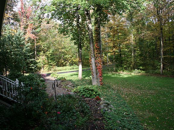 yard