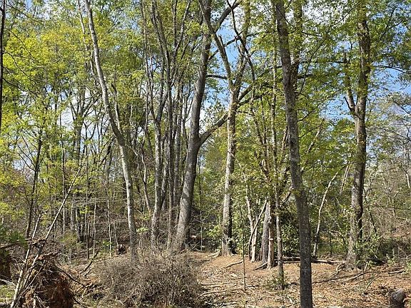 4th image of 0 Dalton Rd