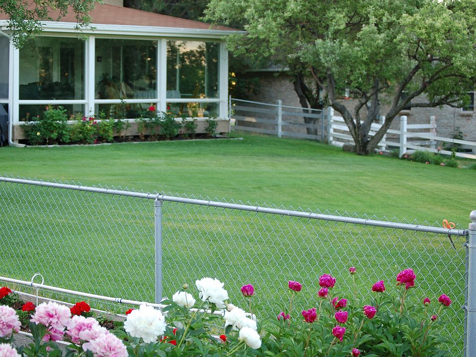 sunroom, back lawn and garden