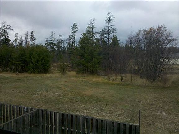 View out Back Windows
