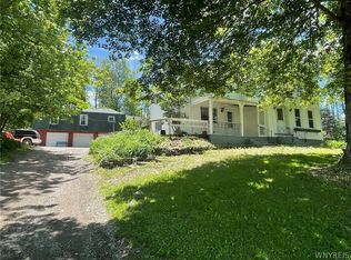 11173 Beech Tree Rd, West Valley, NY 14171