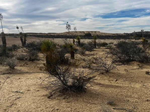 Burleson Road Pid #13789, Alpine, TX 79830
