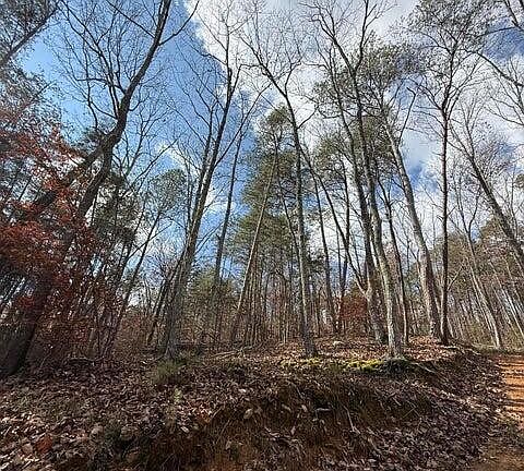 2nd image of 291 Palow Rd
