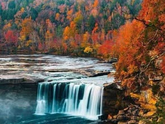 4th image of 140 Jones Hart Rd