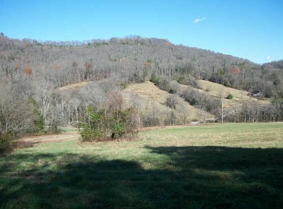 3rd image of 0 Clyde Ln