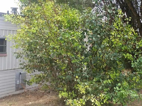 4th image of 20771 E Cedar Dr