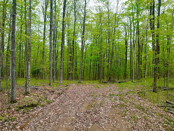 3rd image of 1260 Lily Lake Rd