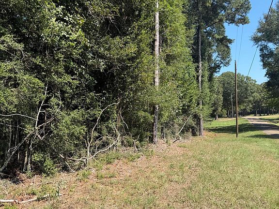 3rd image of Adams Rd