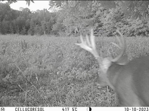 State Route 295 N LOT WP001, Kuttawa, KY 42055