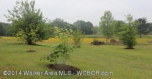 3rd image of 188 Alexander Tubbs Ln