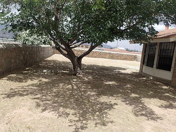 5th image of 6100 Belladonna Cir