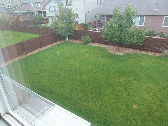 Back yard from upstairs