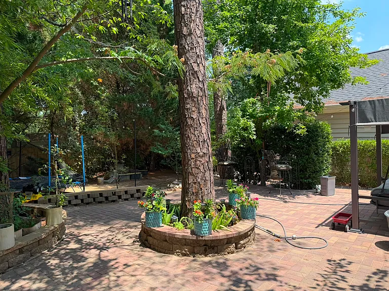 304 Star Magnolia Dr — Photo 28