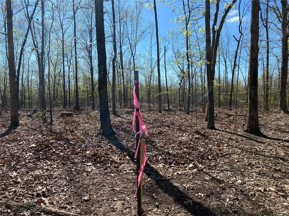 0 Tract Off Madison #3 & 5-9238, Fredericktown, MO 63645