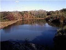 Swains Pond at end of road