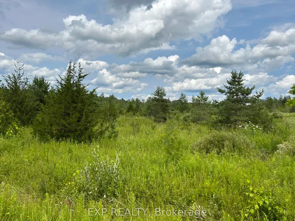 1155 Wood Rd, Tay, ON L0K 2E0