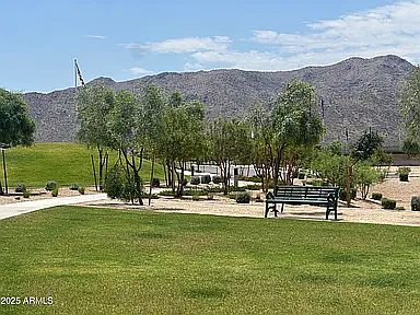 Open park area