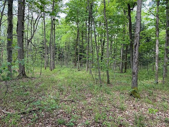 4th image of Kellogg Hill Rd