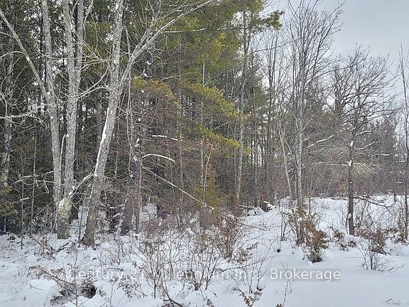 4th image of 641 Lahey Rd