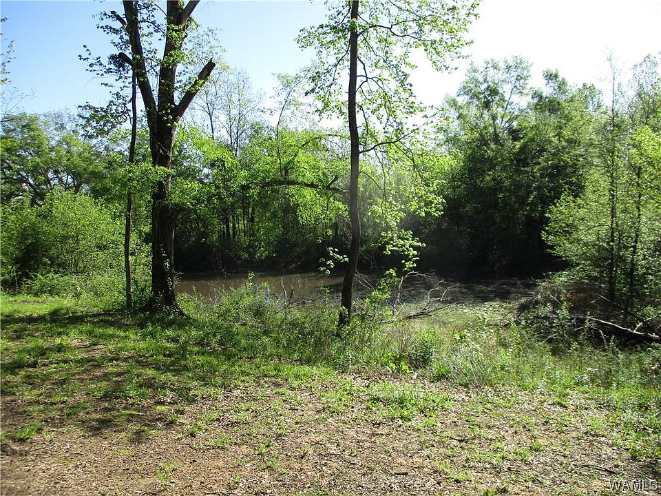 10930 Lower Coaling Rd, Cottondale, AL 35453 Zillow