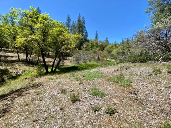 16855 Red Dog Rd, Nevada City, CA 95959