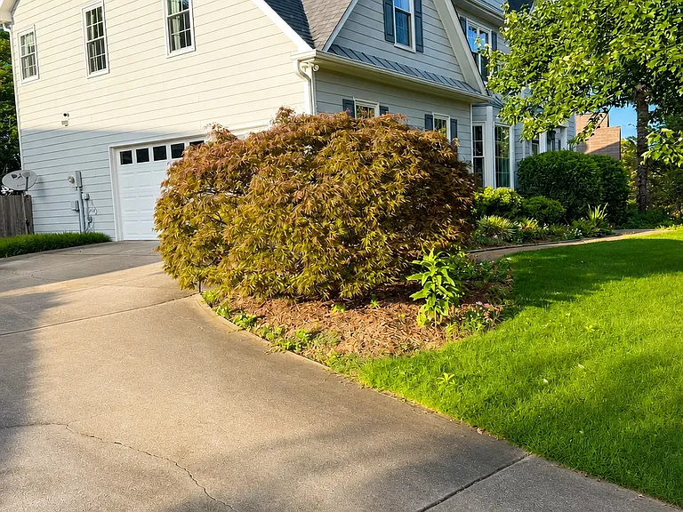 170 Ruby Forest Pkwy — Photo 2