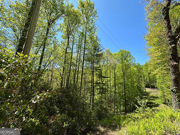 3rd image of 0 Buck Knob Rd